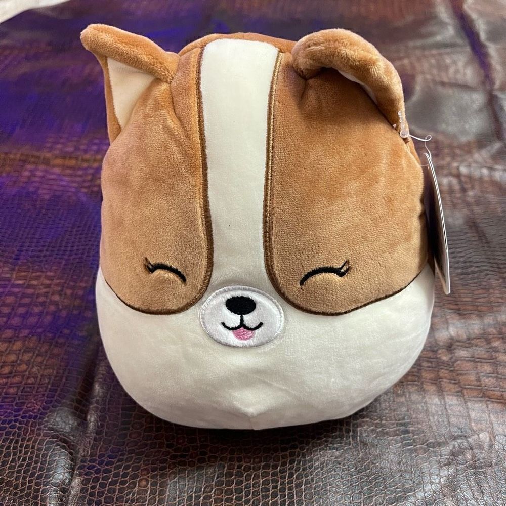 Squishmallow 8 Inch Regina the Corgi Dog New